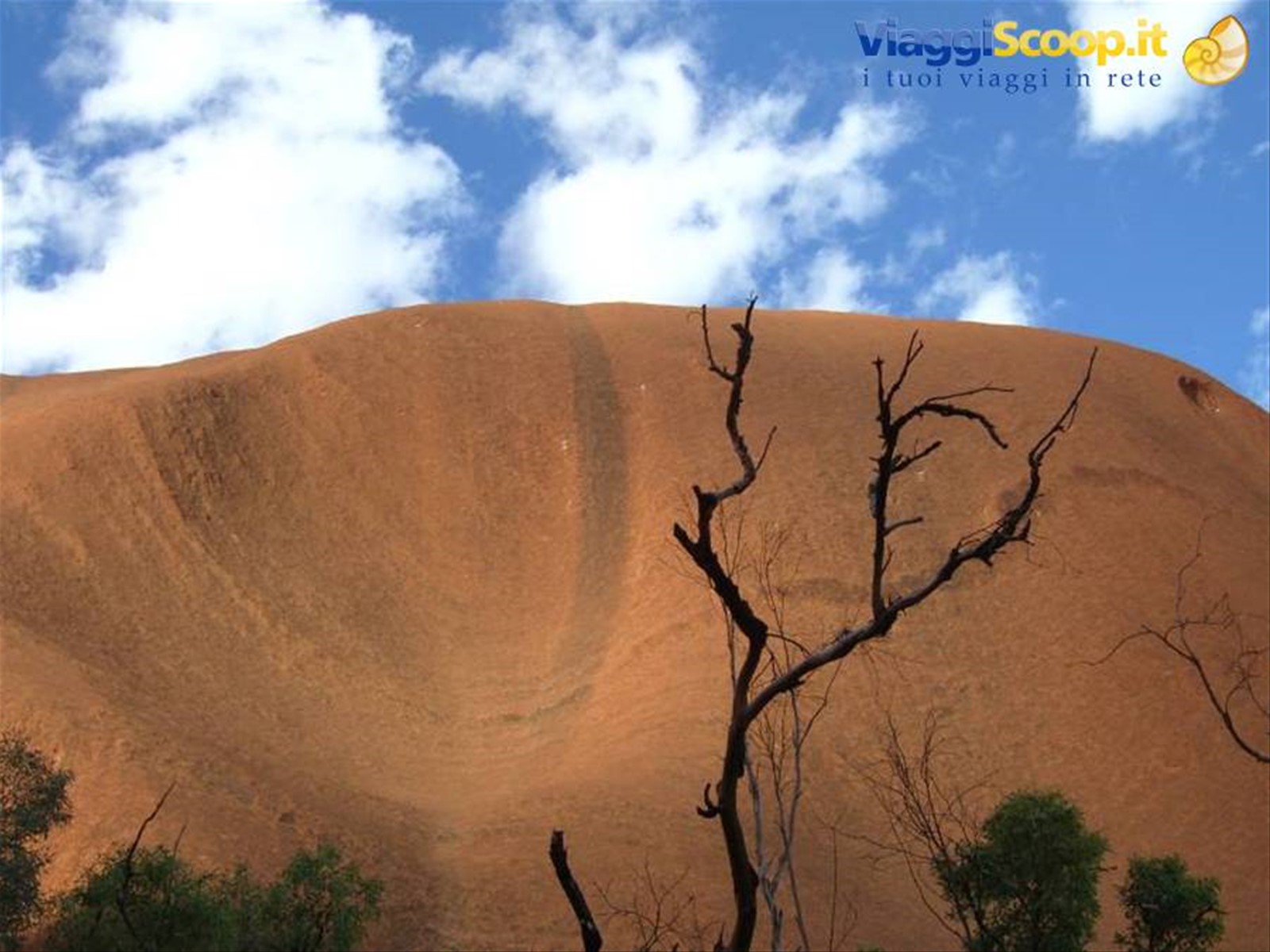 Foto di viaggio in AUSTRALIA
