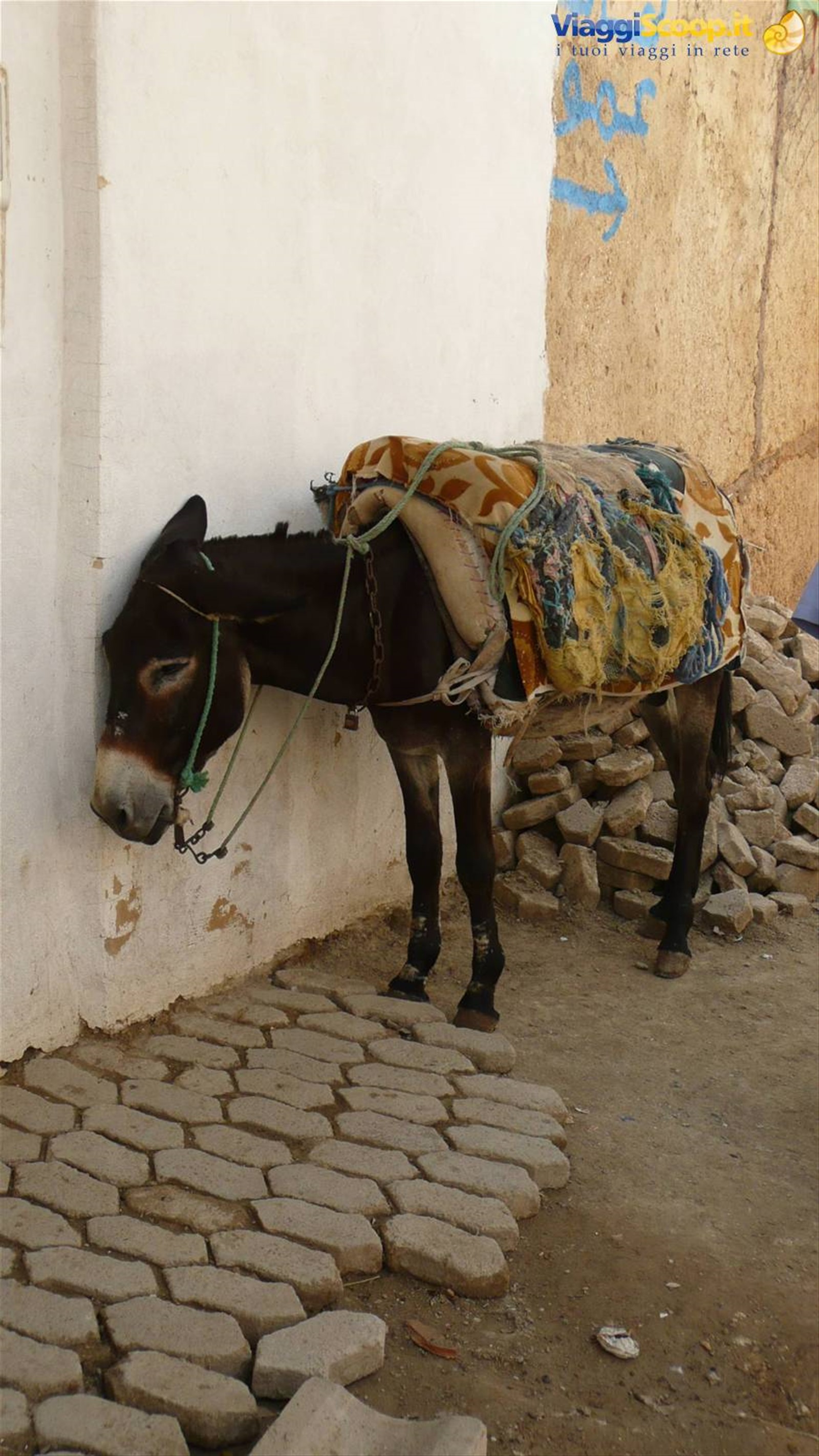 Foto di viaggio in MAROCCO
