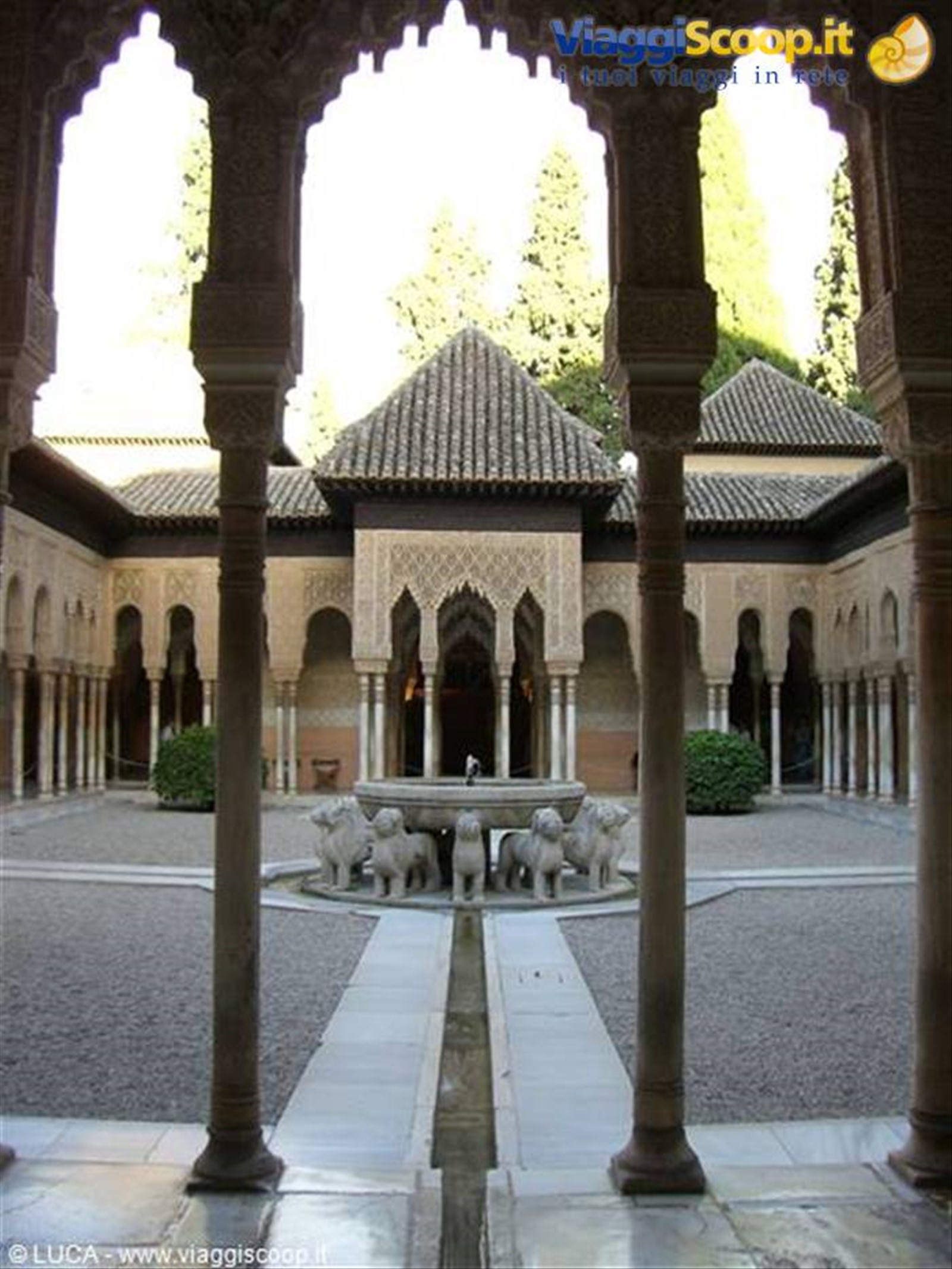 Il Palazzo de los Leones - Patio