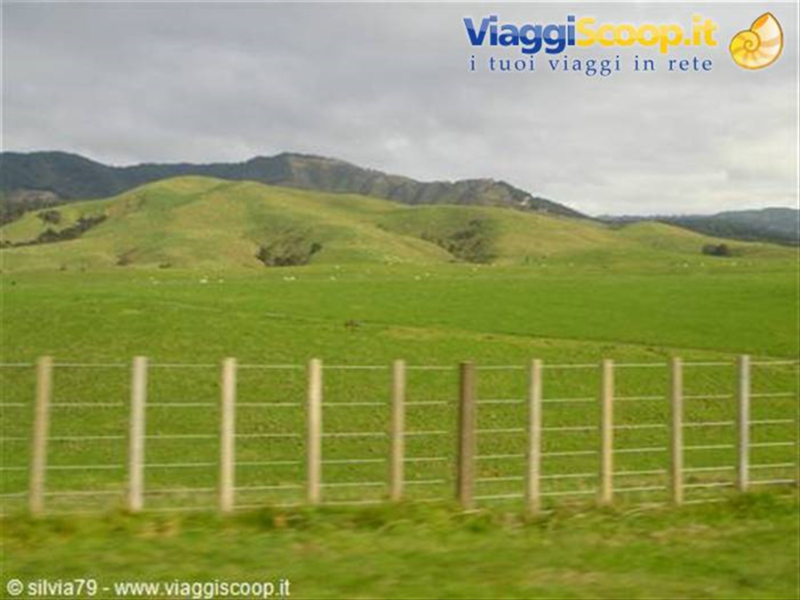 Foto di viaggio in NUOVA ZELANDA