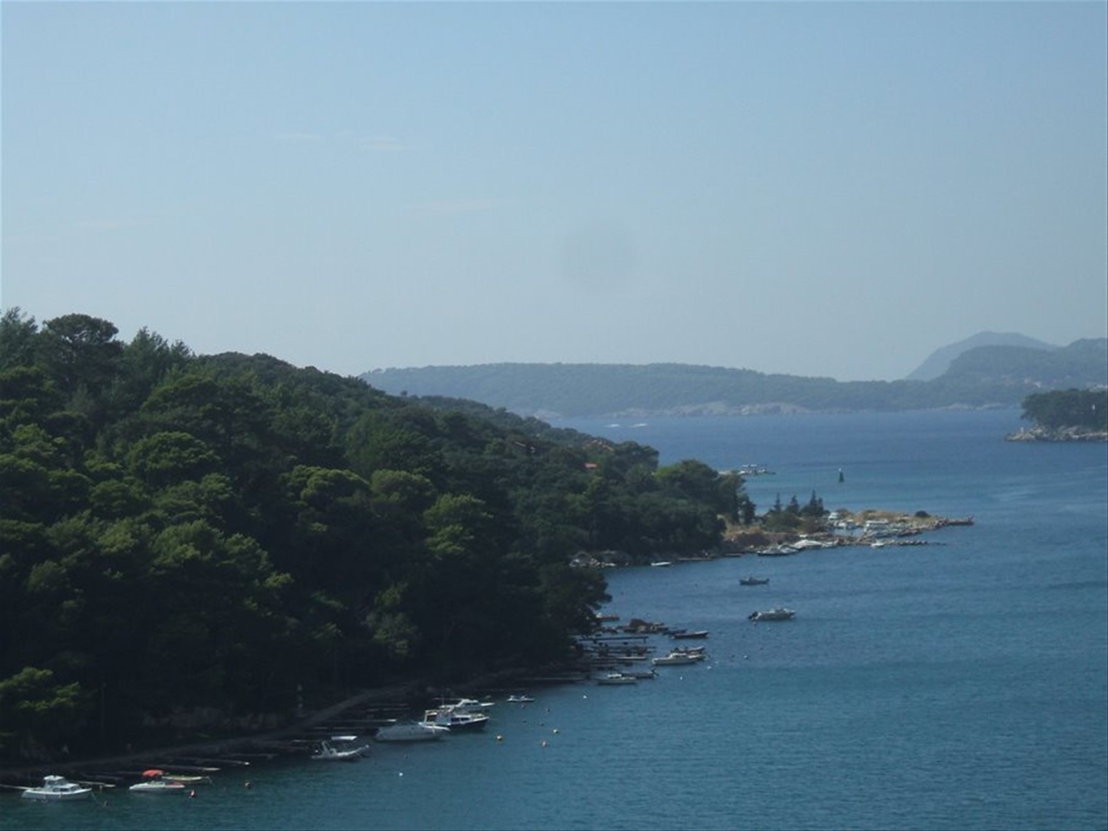 scorcio marino