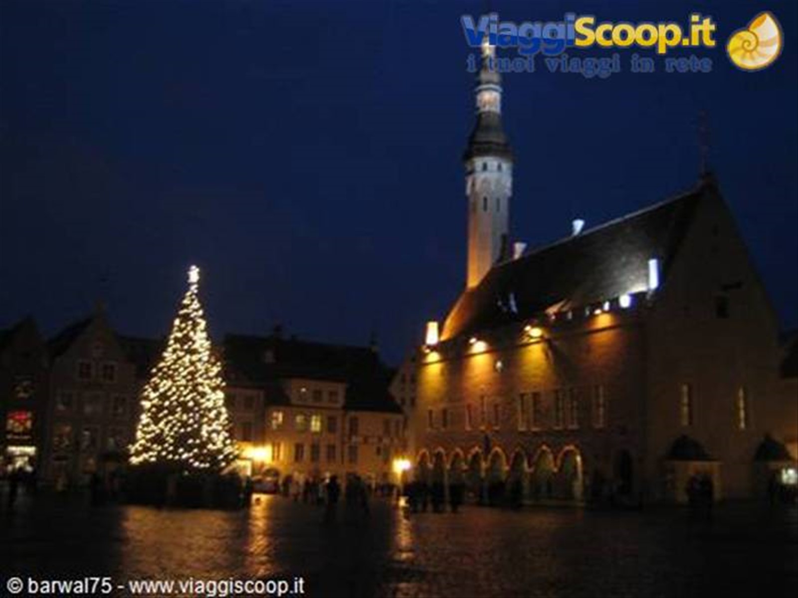 Tallin by night
