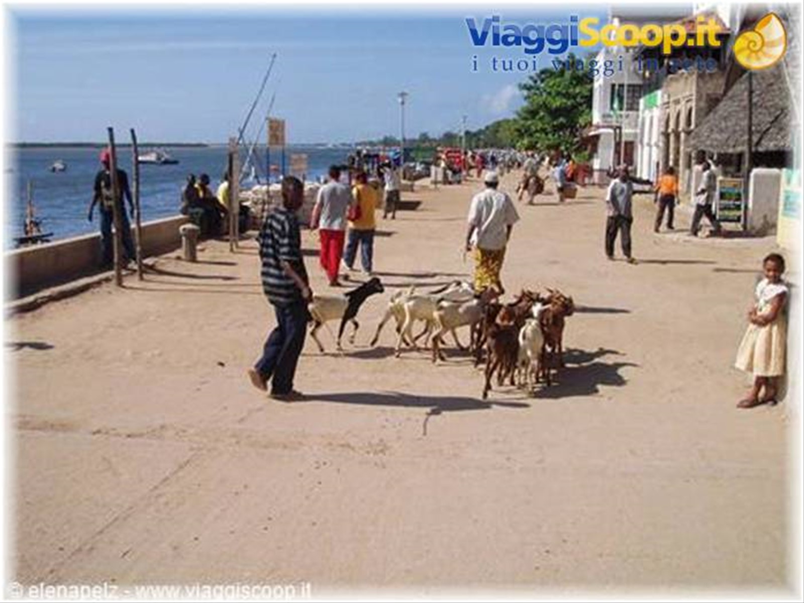 Lamu