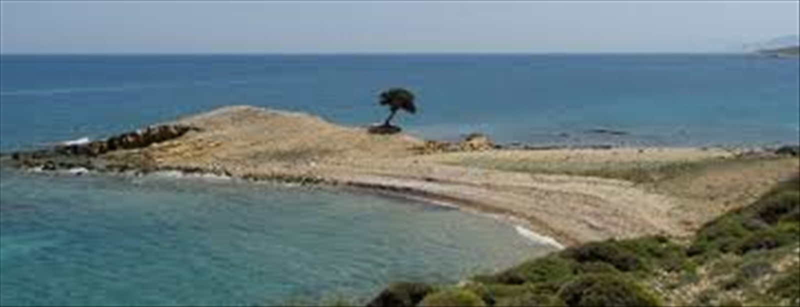 Lipsi. Monodendri
