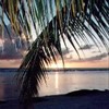 foto viaggio POLINESIA FRANCESE