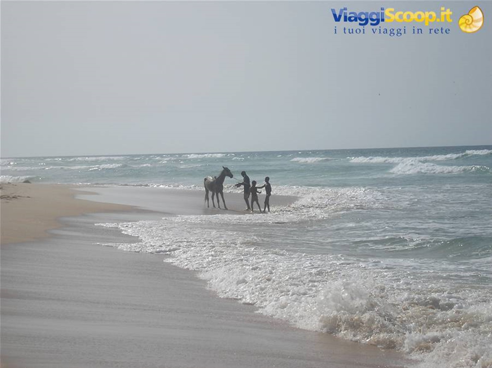 Foto di viaggio in SENEGAL