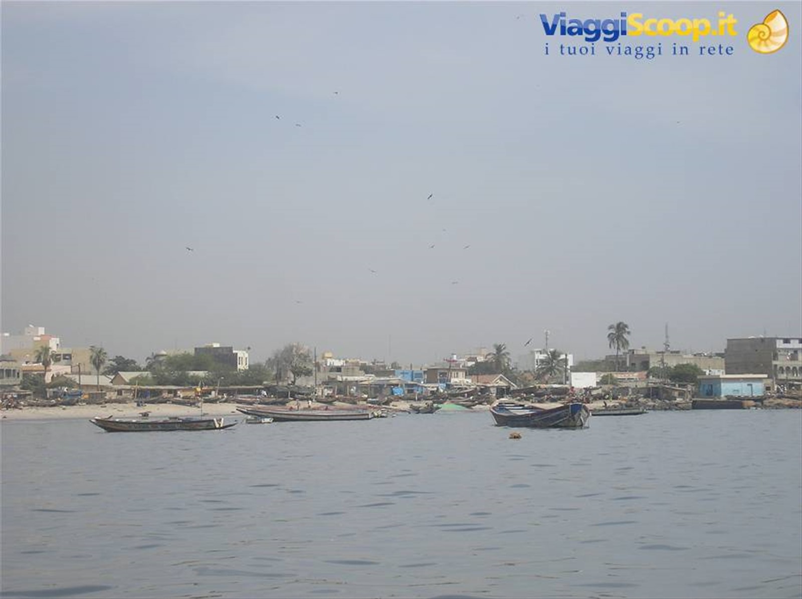 Foto di viaggio in SENEGAL