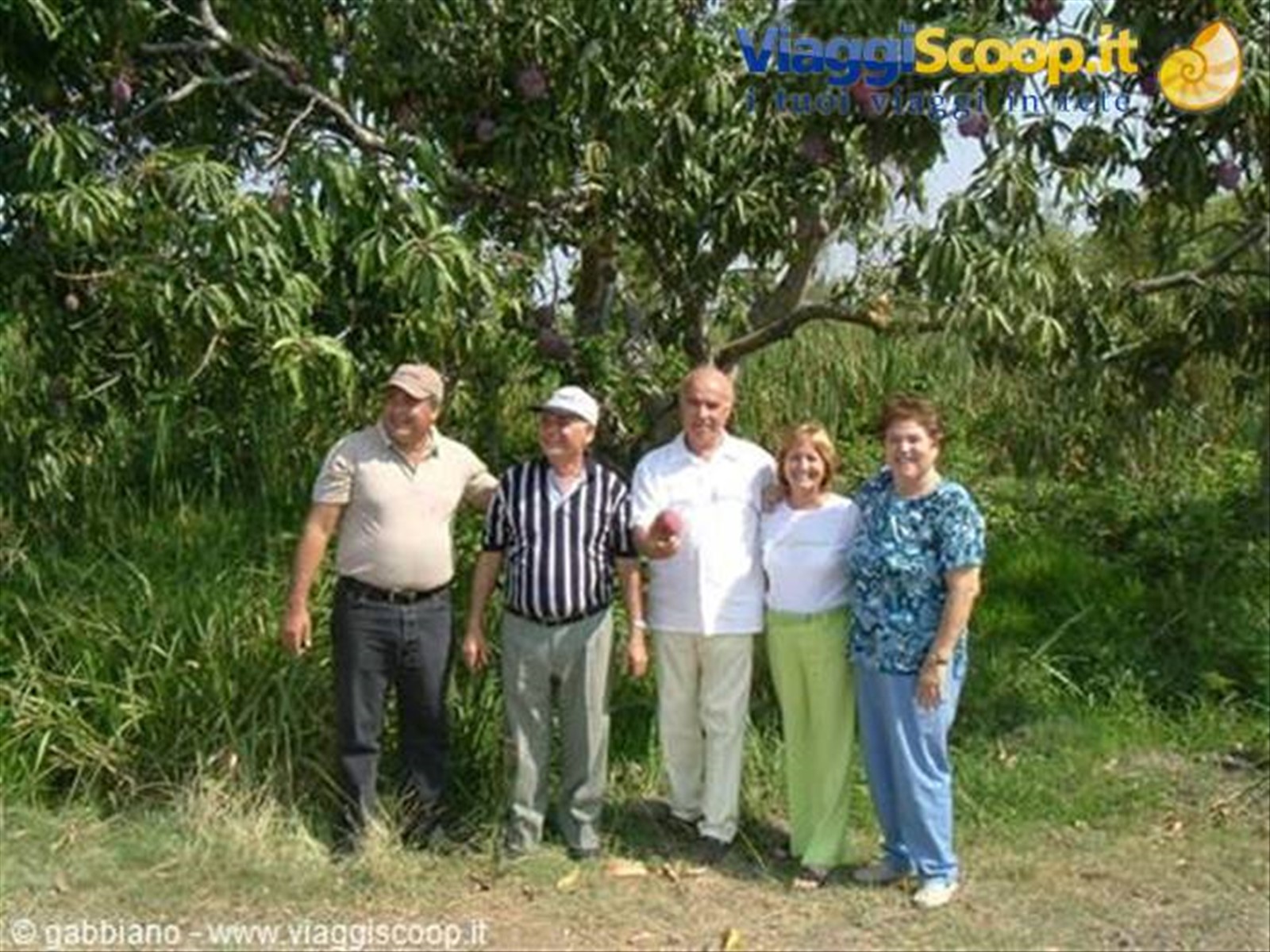 la finca (il podere)